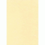 BOÎTE DE 50 FEUILLES DECADRY -  A4 - 165G - PARCHEMIN CHAMPAGNE