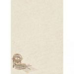 DECADRY BOÎTE DE 100 FEUILLES 90G A4 MOTIF AMBASSADOR SCRIPT PARCHEMIN DSC720