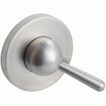 PAIRE DE ROSACE CONDAMNATION À VOYANT INOX POUR OVALIS - VACHETTE - 080881