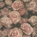 BRICOFLOR - PAPIER PEINT GROSSES FLEURS IDÉAL SALON | PAPIER PEINT PIVOINE FLEURI ROSE PÂLE CHAMBRE FILLE | TAPISSERIE FLEURIE ROSE PASTEL POUR