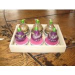 BOUGIES BULBE FLEUR (LOT DE 6)