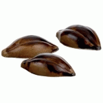 PLAQUE CHOCOLAT 24 EMPREINTES CABOSSES 9 G