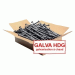 POINTE TÊTE PLATE GALVA HDG 5.0X110 LISSE 5KG