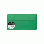 LOT DE 2 - PAQUET DE 20 ENVELOPPES POLLEN 110X220MM 120G/M2 - VERT SAPIN