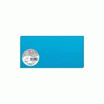 LOT DE 3 - PAQUET DE 25 CARTES SIMPLES POLLEN 106X213MM 210G/M² - BLEU TURQUOISE