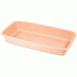 BARQUETTE 1/3 GN SAUMON H48 MM X 240 FIRPLAST