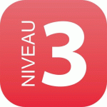 LOT DE 2 - PLAQUE SIGNALÉTIQUE EN PLEXIGLAS PLEXI - NIVEAU 3 (ROUGE)