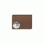 LOT DE 2 - PAQUET DE 25 CARTES PLIÉES POLLEN 110X155MM 210G/M2 - MARRON TAUPÉ