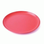 ASSIETTE PLATE 24CM CLASSIQUE MELAMINE ROUGE