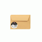LOT DE 2 - PAQUET DE 20 ENVELOPPES POLLEN 114X162MM 120G/M2 - CARAMEL