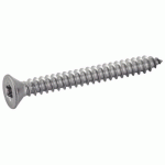 VIS À TÔLE - TÊTE FRAISÉE - TORX - INOX A2 - TOTAL - 4,2X38 - B200 ACTON