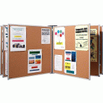 LE LOT DE 2 PANNEAUX LIÈGE RECTO/VERSO 90 X 60 CM - MANUTAN COLLECTIVITÉS