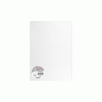 PAQUET DE 5 FEUILLES POLLEN 210X297MM 120G/M2 - BLANC IRISÉ - LOT DE 5