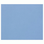 TULIPE RAME 100F A4 160G - BLEU ROI