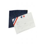 CARTE DE FONCTION DE MAIRE - ETUI BLEU RÉF 0706.501