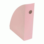 RANGES-REVUES EXACOMPTA MAG-CUBE SKANDI DOS 8,2 CM COULEUR NATUREL