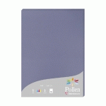 ETUI DE 50 FEUILLES POLLEN 210X297MM 160G/M2 - MYOSOTIS - LOT DE 2