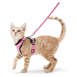 HARNAIS CHAT PETIT CHIEN LAISSE HARNAIS CHATON RÉGLABLE ROSE XS COLLIER HARNAI CHAT REFLÉCHISSANT GILET RESPIRANT POUR LAPIN, CHAT EUROPÉEN, MAINE