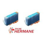 LOT DE 2 CARTOUCHES COMPATIBLE CANON BCI 6 CYAN