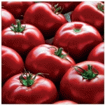 DECORATIVE PICTURE POMODORI CM 30X30X1,8 TWINSOR EC21606