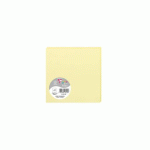 LOT DE 2 - PAQUET DE 25 CARTES SIMPLES POLLEN 135X135MM 210G/M² - CANARI