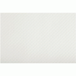SET DE TABLE PAPIER 30X40 CM - EXTRA BLANC BLANC - COGIR