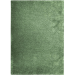 SOLANCE - TAPIS LUMINEUX VERT BOUTEILLE 120X170 - VERT