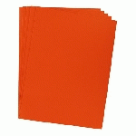 CHEMISE STANDARD 210 G BRUNEAU 24 X 32 CM ORANGE - PAQUET DE 100