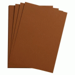 LOT DE 5 - ETIVAL COLOR PAQUET 5F A4 160G - MARRON