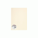 PAQUET DE 5 FEUILLES POLLEN 210X297MM 120G/M² - IVOIRE - LOT DE 10