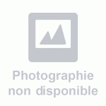 GÂCHE CENTRALE G-22888-22-L-1 POUR MENUISERIE PVC / BOIS - MAIN GAUCHE FERCO