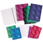 CAHIER SPIRALE CLAIREFONTAINE METRIC 17 X 22 CM PETITS CARREAUX 100 PAGES