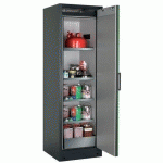 ARMOIRE SÉCURITÉ Q-PEGASUS-90 Q90.195.060.WDACR GRIS/VERT - ASECOS