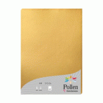 ETUI DE 25 FEUILLES POLLEN 210X297 210G/M2 - OR