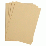 ETIVAL COLOR PAQUET 25F A3 160G - MAÏS - LOT DE 2