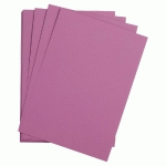 ETIVAL COLOR PAQUET 25F A3 160G - VIOLET - LOT DE 2