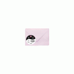 LOT DE 2 - PAQUET DE 20 ENVELOPPES POLLEN 75X100MM 120G/M² - LILAS