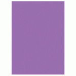 RAJA CHEMISES DOSSIERS 220G RECYCLÉES - 24 X 32 CM - VIOLET - LOT DE 100