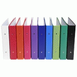 CLASSEUR REMBORDÉ POLYPROPYLÈNE FORMAT ECOLIER 2 ANNEAUX 30MM - 230X215MM - COULEURS ASSORTIES - LOT DE 20