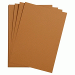 LOT DE 5 - ETIVAL COLOR PAQUET 5F A4 160G - HAVANE