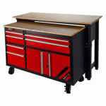 ENSEMBLE ÉTABLI ET TABLE DE TRAVAIL - 6 TIROIRS HOLZMANN