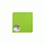 PAQUET DE 25 CARTES PLIÉES POLLEN 160X160MM 210G/M2 - VERT MENTHE