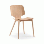 CHAISE CODICI COQUE BOIS SANS PLACET - FRASSINO