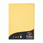 PAPIERS MARBRÉS, ETUI DE 50 FEUILLES POLLEN 210X297MM 120G/M2 - CHAMOIS MARBRÉ - LOT DE 2