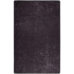 VIDAXL - TAPIS LAVABLE ANTIDÉRAPANT 80X150 CM ANTHRACITE