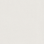 PAPIER PEINT NEW ELEGANCE BEIGE CRÈME PAPIER PEINT INTISSÉ - 10,05 X 0,53 M - BRICOFLOR