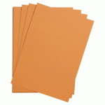 LOT DE 5 - ETIVAL COLOR PAQUET 5F A4 160G - ROUILLE