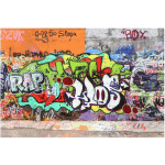 PAPIER PEINT INTISSÉ - GRAFFITI WALL - MURAL LARGE DIMENSION HXL: 255CM X 384CM