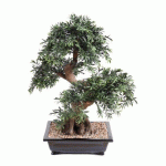 PLANTE ARTIFICIELLE D