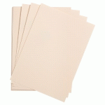 ETIVAL COLOR PAQUET 5F A4 160G - ROSE PÂLE - LOT DE 5